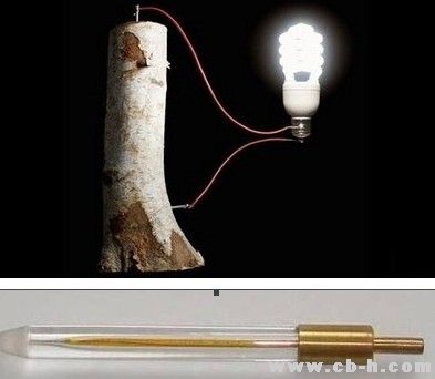 木質(zhì)素是由聚合的芳香醇構(gòu)成的一類物質(zhì)，存在于木質(zhì)組織中，主要作用是通過形成交織網(wǎng)來硬化細胞壁。吳榮照說，這種物質(zhì)作為造紙過程中所產(chǎn)生的廢料，一直不為人所注意。