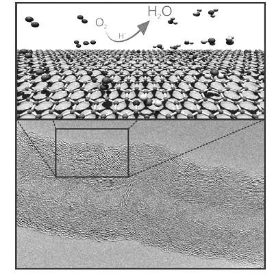 在研制燃料電池過程中，尋找廉價(jià)且高效的有機(jī)催化劑一直是相關(guān)領(lǐng)域研究人員努力的方向。