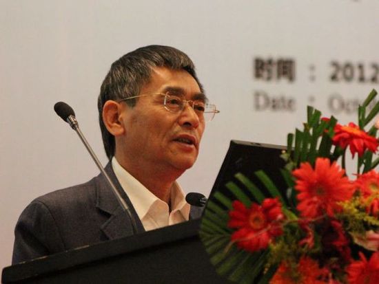 張相木:新能源汽車 需要政府一些引導(dǎo)