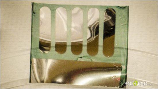 太陽(yáng)能植物電池：有可能是最環(huán)保的電池