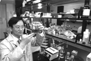 生產(chǎn)氫氣的新方法將幫助全球擺脫對(duì)化石燃料的依賴(lài)。