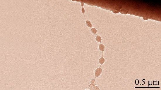 手機(jī)續(xù)航太爛？太陽能電池或成最佳方案